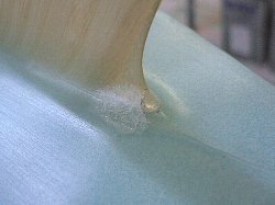 �|���G�X�e�� �I���t�B�� 5_3